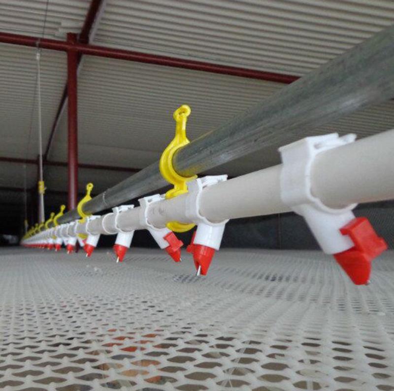 山東華邦供應(yīng)自動化養(yǎng)雞水線圖片/山東華邦供應(yīng)自動化養(yǎng)雞水線樣板圖 (2)