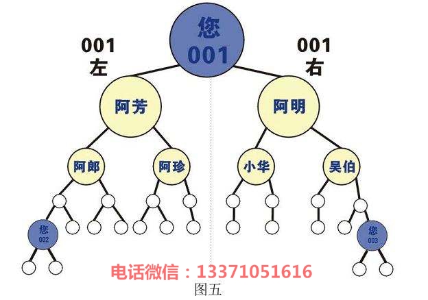 潍坊市长春沈阳直销升级互助软件开发公司厂家