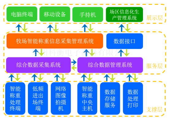 畜牧RFID智能称重系统厂家 畜牧RFID智能称重系统直销批发 畜牧RFID智能称重定制图片