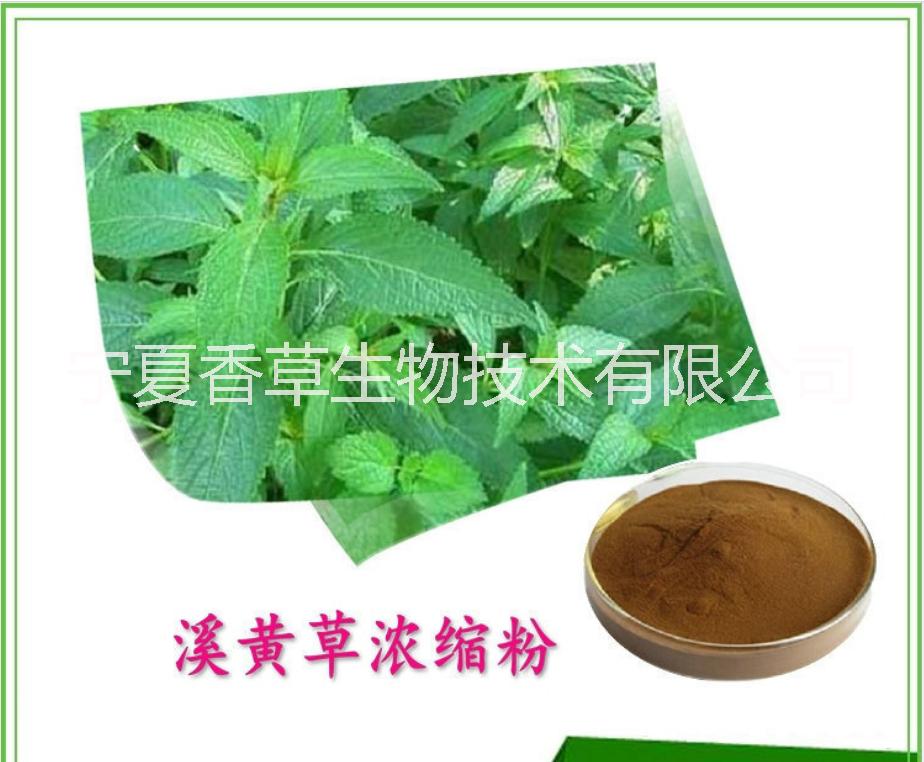 溪黄草提取物价格 金边麦冬提取物 麦冬叶粉 玉龙草粉 紫荆皮提取物 田基黄提取物 过江龙提取物