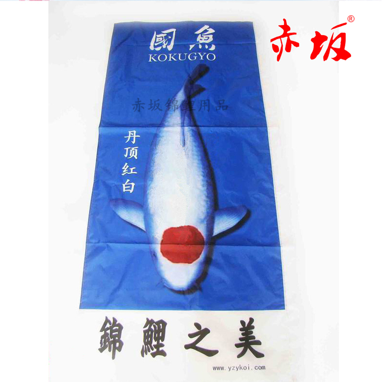 錦鯉魚圖片/錦鯉魚樣板圖 (3)