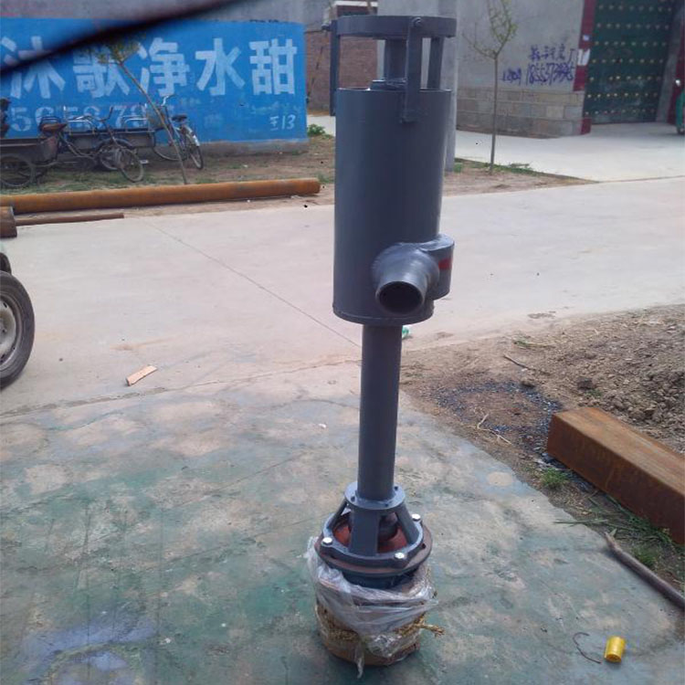 鴨糞雞糞輸送泵不堵塞可定制圖片