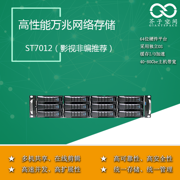 12盤位磁盤陣列 萬兆存儲圖片