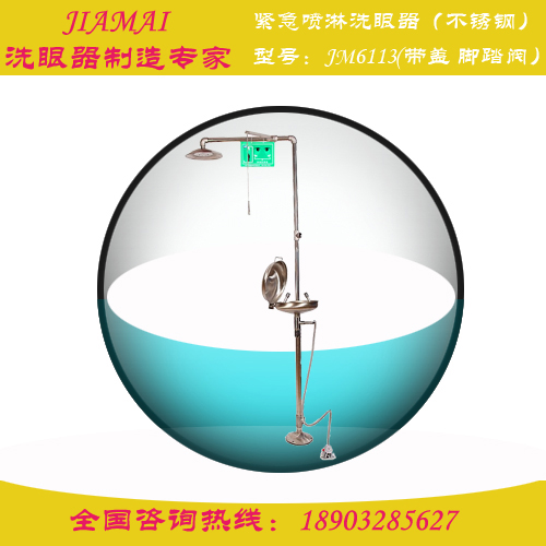 洗眼器/复合式紧急喷淋洗眼器（带盖）JM6113医用洗眼器