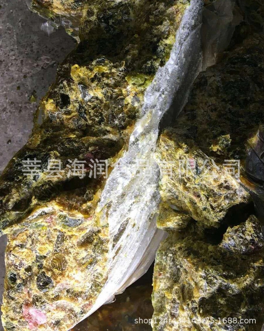 817雞苦膽圖片/817雞苦膽樣板圖 (3)