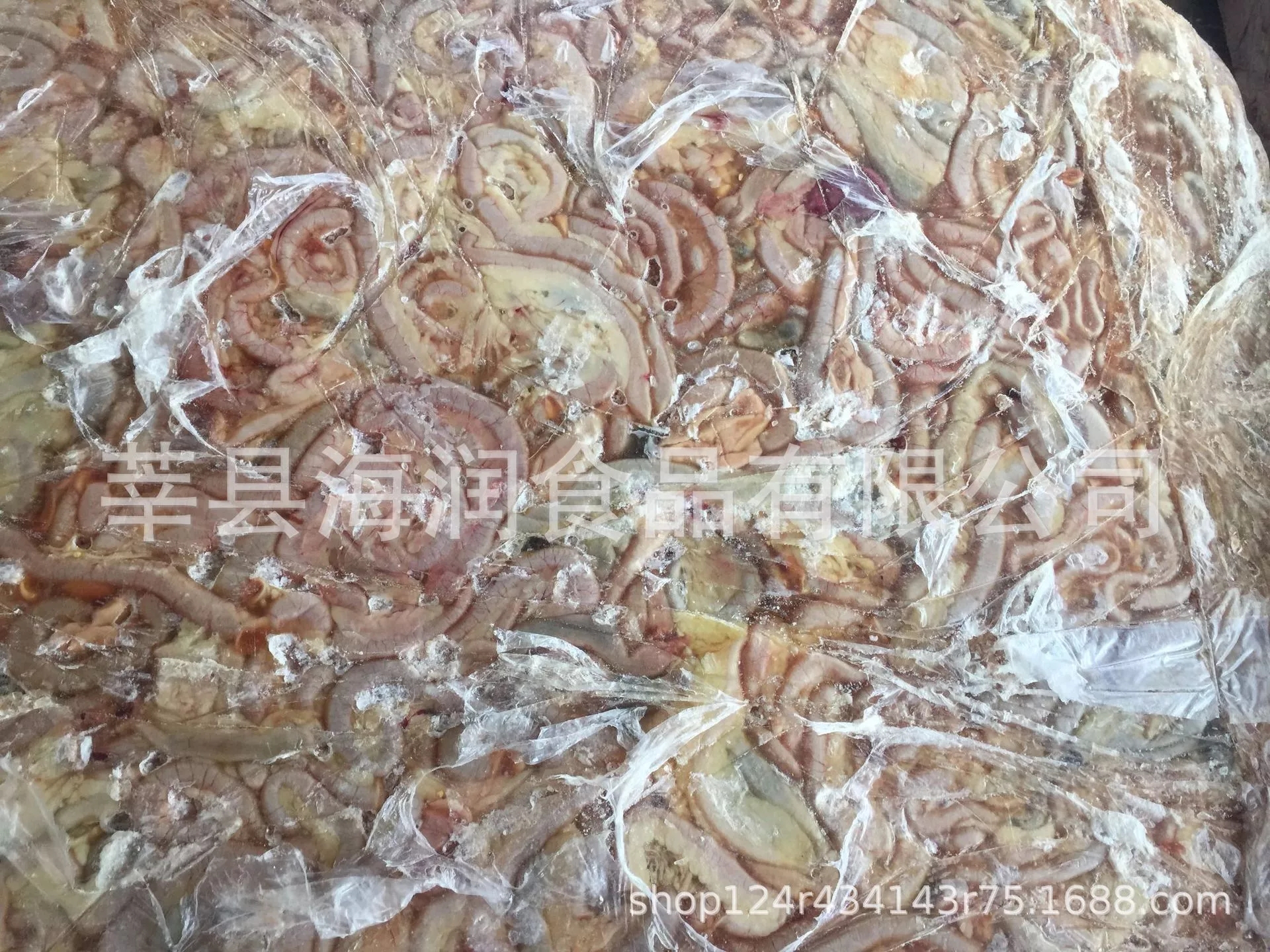 817雞腸圖片/817雞腸樣板圖 (3)