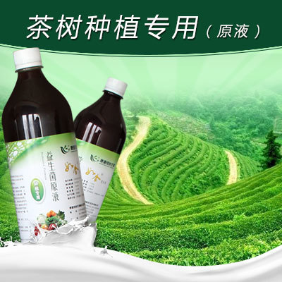 茶树种植专用（原液）叶面喷施滴灌防板结防病害图片