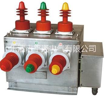 型號ZW10-12真空斷路器圖片
