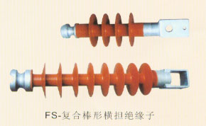 FS-110/10圖片