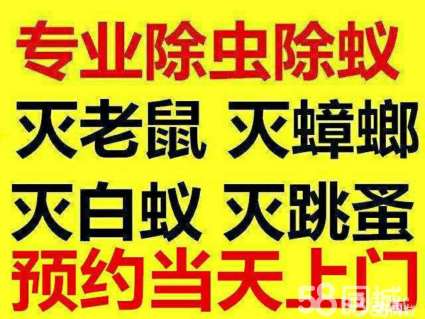 专业灭鼠灭蟑灭蚂蚁灭四害十年经 灭蟑螂 多邦济宁