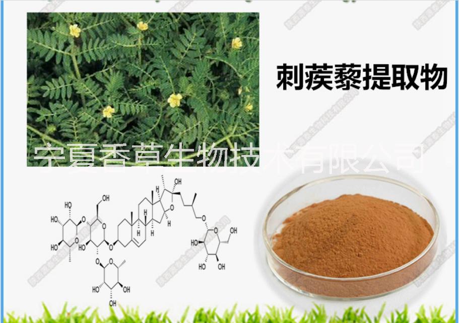 刺蒺藜提取物 蒺藜叶粉 山桃叶提取液 桃树叶粉 羊角蒿浸膏 羊角透骨草粉 珍珠菜粉 胡枝子提取液