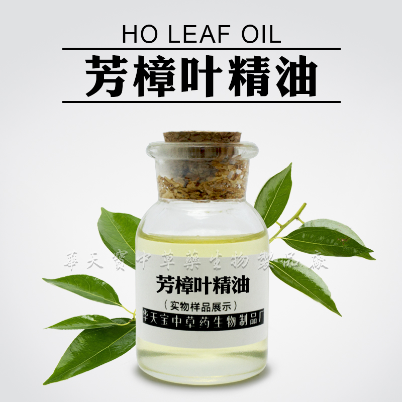 厂家供应热销 芳樟叶精油日化护肤SPA手工皂DIY 原料厂家