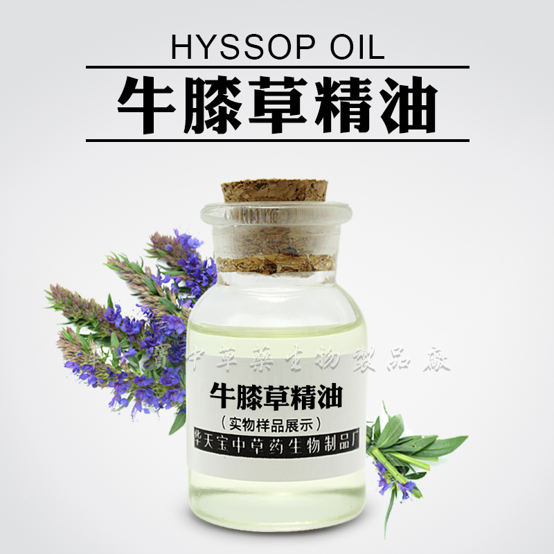 厂家供应热销牛膝草精油护肤美容香薰SPA芳疗按摩养生手工皂原料厂家