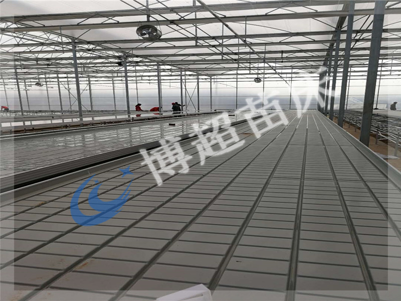 移動苗床圖片/移動苗床樣板圖 (3)