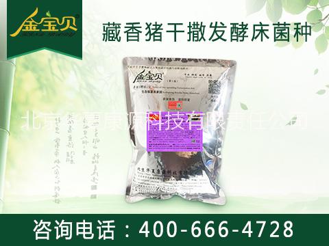 金宝贝发酵床养殖藏香猪图片