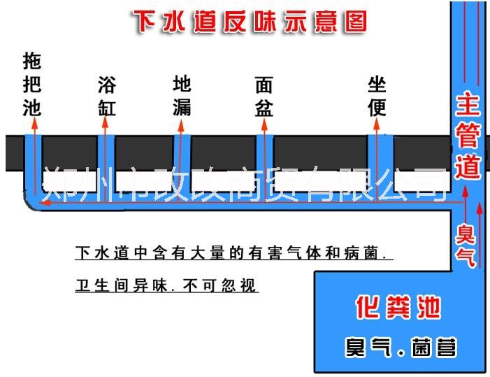 卫生间防臭地漏