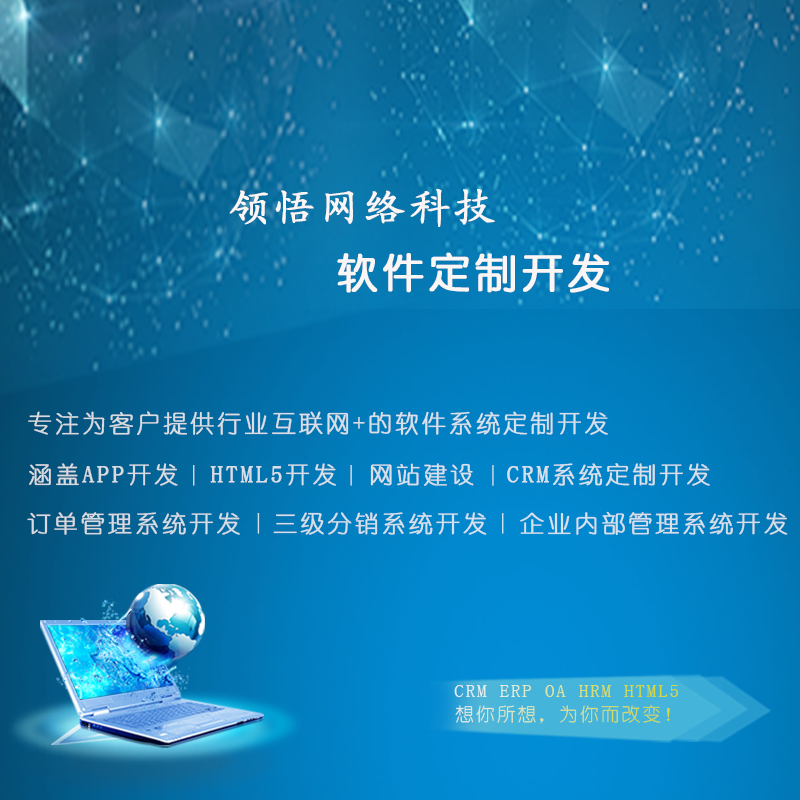 软件定制解决方案 杭州领悟软件定制解决方案图片