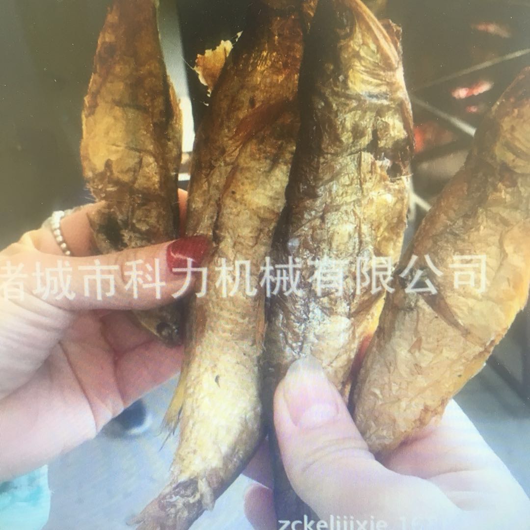 豆干 豆皮  红肠  熏鸡烟熏炉  品质保证图片