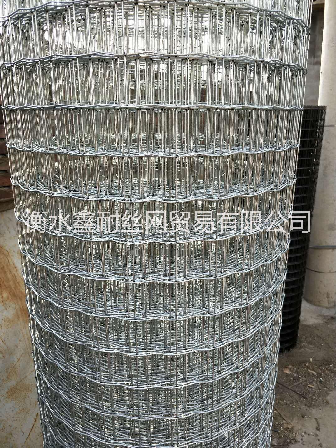 山東荷蘭網(wǎng) 篩網(wǎng)護欄網(wǎng)