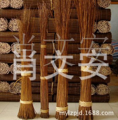 柳條圖片/柳條樣板圖 (4)