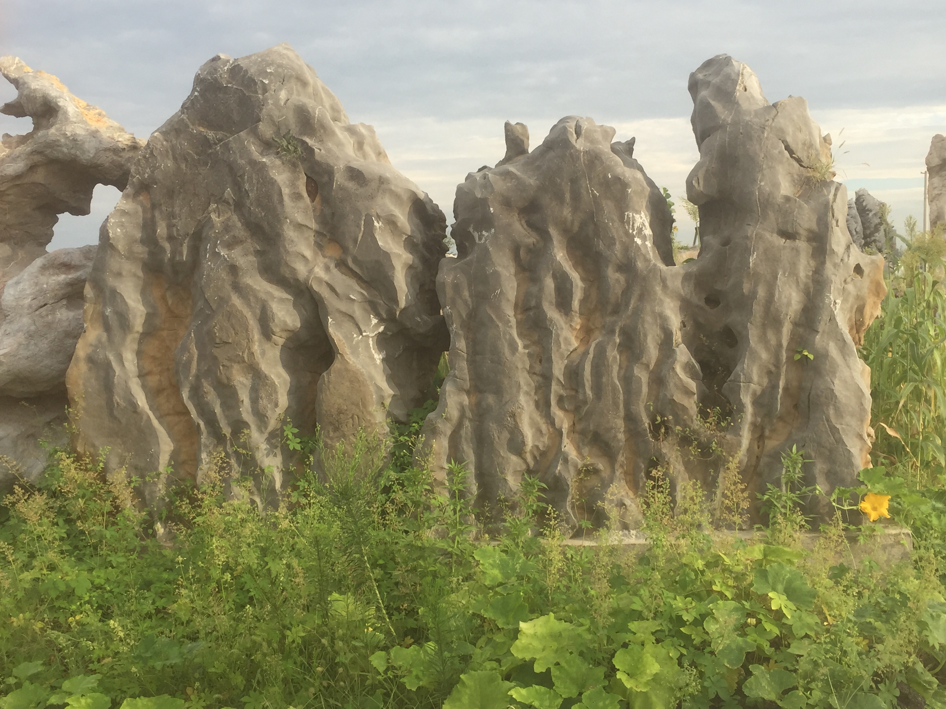 假山石圖片/假山石樣板圖 (4)