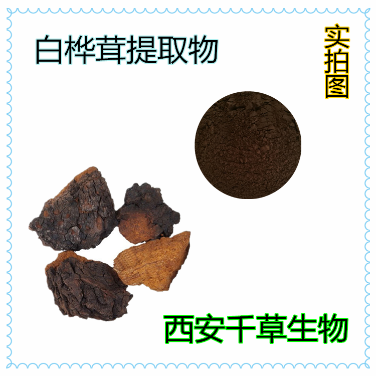 白桦茸提取物浓缩粉浸膏粉定做浸膏图片