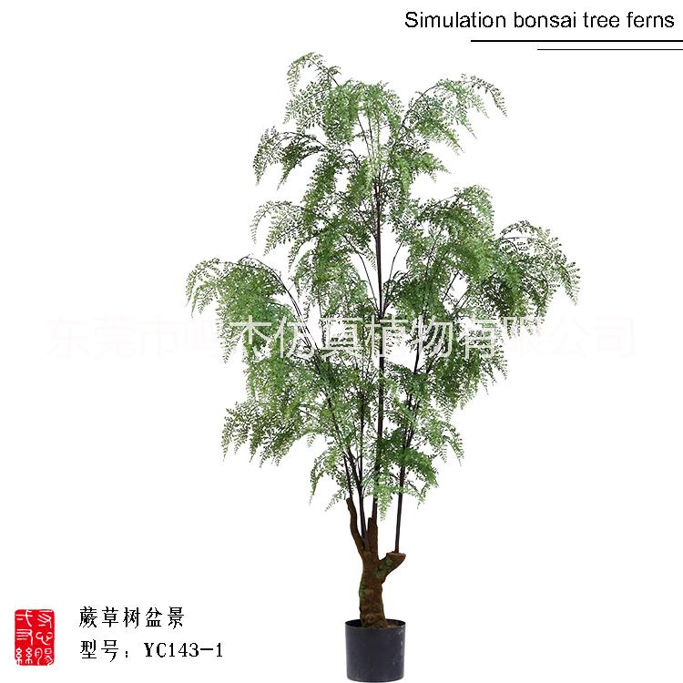 仿真波斯蕨草盆景YC143-1圖片