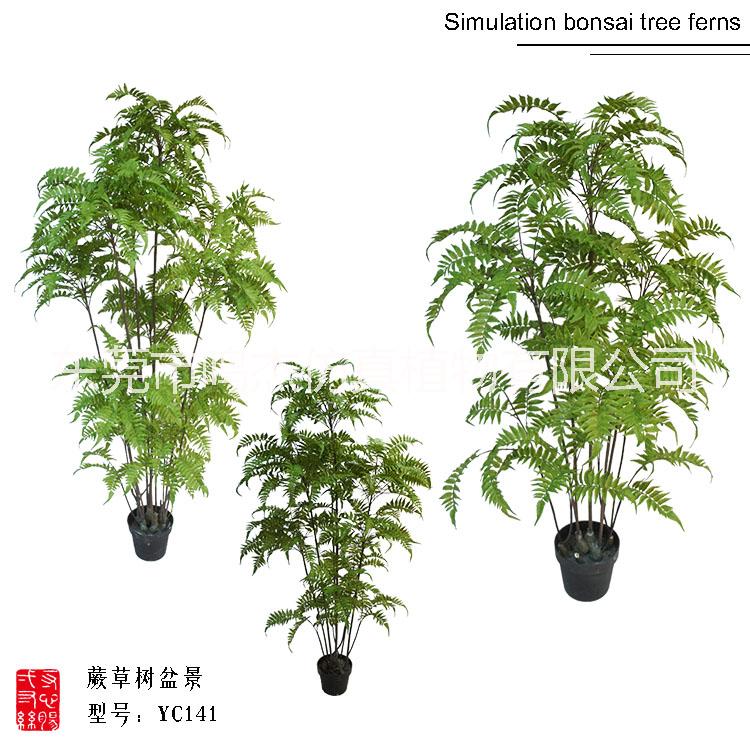 仿真波斯叶蕨草盆景羊齿蕨水杉叶巴 热带仿真波斯蕨草盆景 仿真波斯蕨草盆景YC141-1 仿真波斯蕨草盆景YC141-1