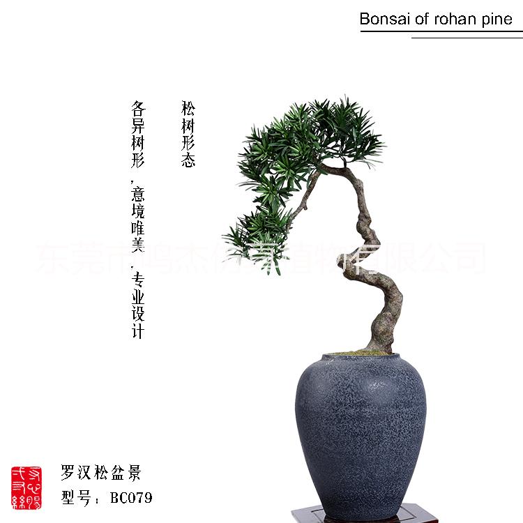 植物盆景景观工艺品室内庭院摆设 东莞植物盆景植物盆景生产厂家  仿真罗汉松盆景工艺品BC079图片