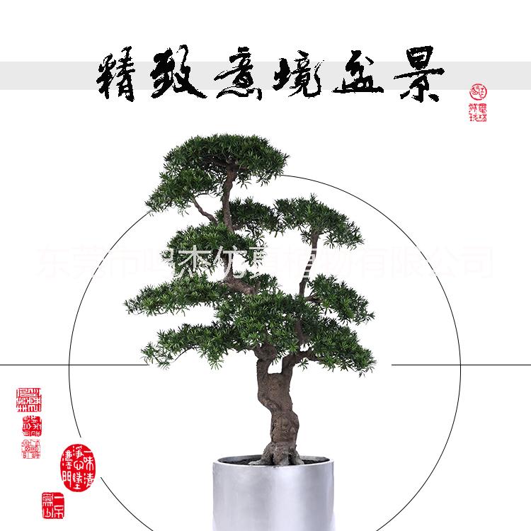 植物盆景景观工艺品室内庭院摆设 东莞植物盆景植物盆景生产厂家 仿真罗汉松盆景工艺品 仿真罗汉松盆景工艺品BC105图片