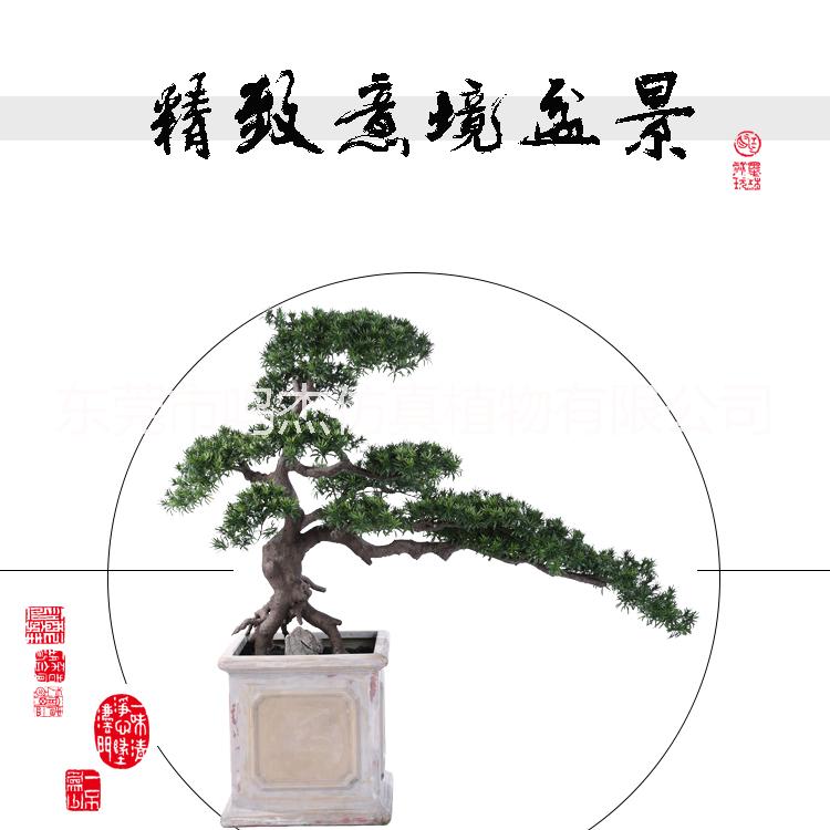 植物盆景景观工艺品室内庭院摆设 东莞植物盆景植物盆景生产厂家 仿真罗汉松盆景工艺品 仿真罗汉松盆景工艺品BC101图片