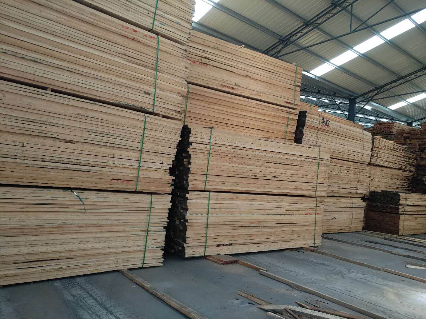 輻射松木板圖片/輻射松木板樣板圖 (3)