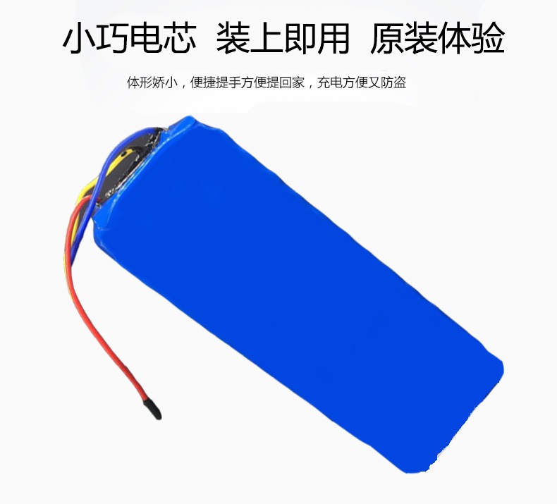 红蚂蚁锂电池48v10安时图片