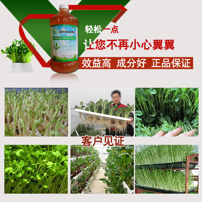 芽苗菜营养液种植花生芽豌豆苗萝卜苗用芽苗菜营养液预防腐烂有效增产