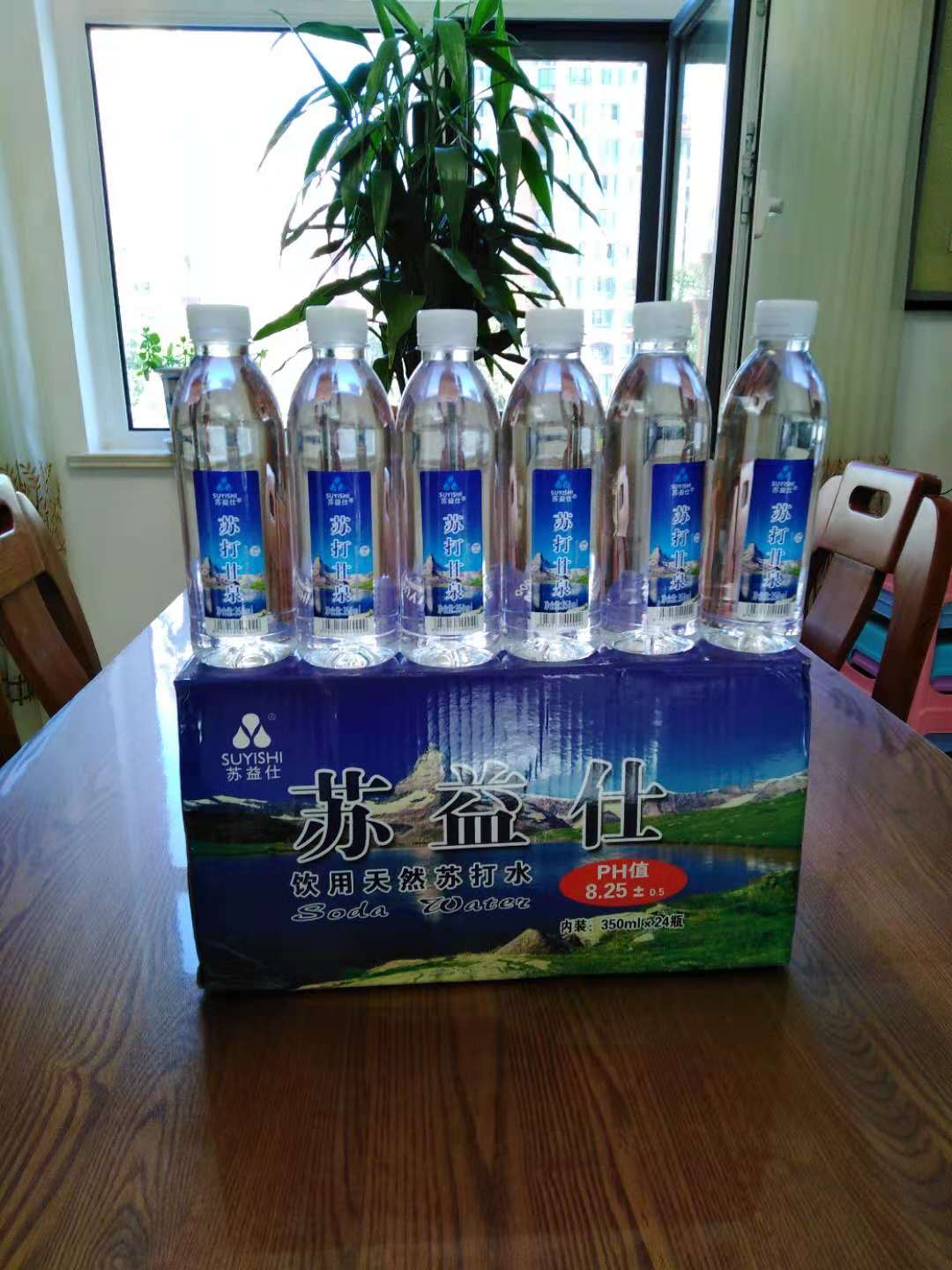 蘇益仕牌 蘇打甘泉天然蘇打水圖片