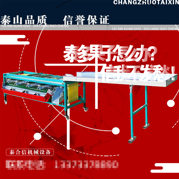 泰信牌公孙桔青金桔基础款分级机图片