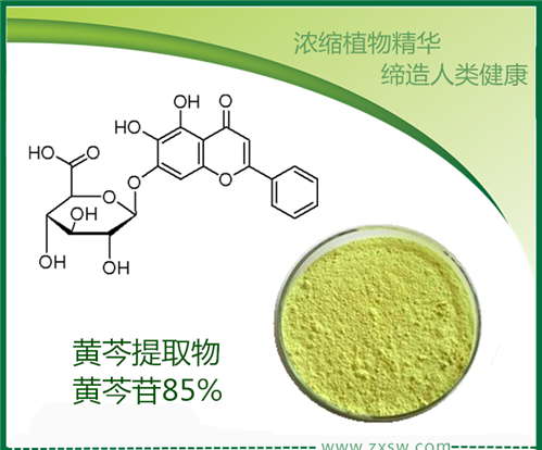 黄芩苷图片