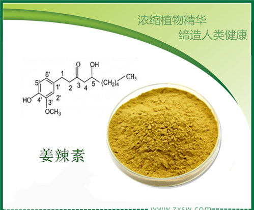 厂家现货供应生姜提取物姜辣素5% 陕西中鑫生物图片