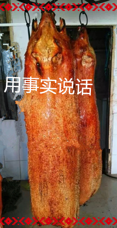 玉林燃?xì)鉄i爐圖片/玉林燃?xì)鉄i爐樣板圖 (1)