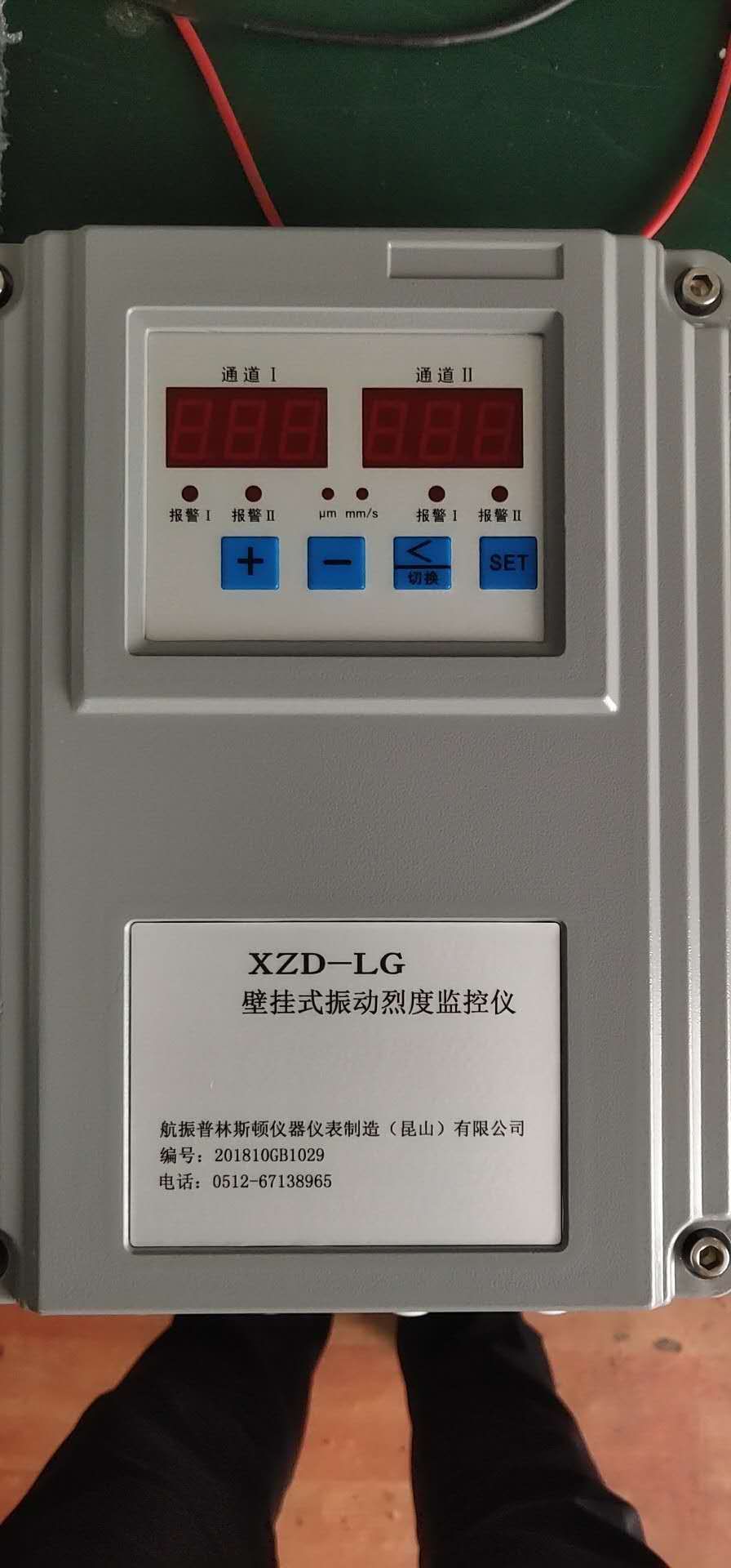 XZD-LG壁挂振动表图片