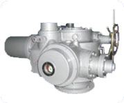 電動(dòng)裝置DZW350圖片