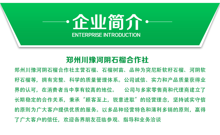 郑州市箱装软籽石榴厂家箱装石榴批发厂家直销超值划算 箱装软籽石榴-厂家供应商