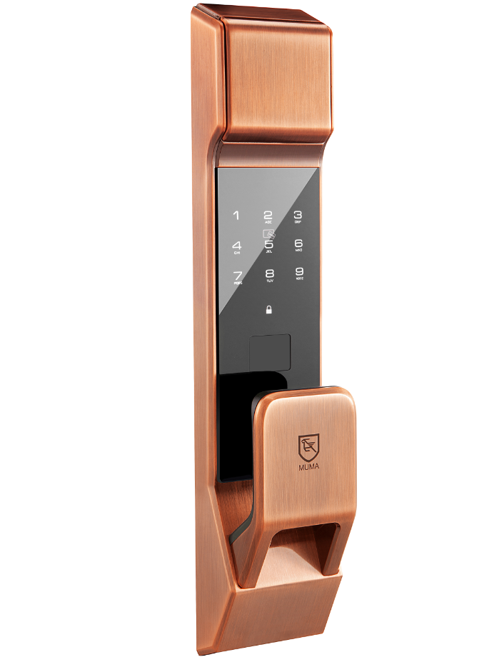 指紋鎖智能鎖圖片/指紋鎖智能鎖樣板圖 (3)