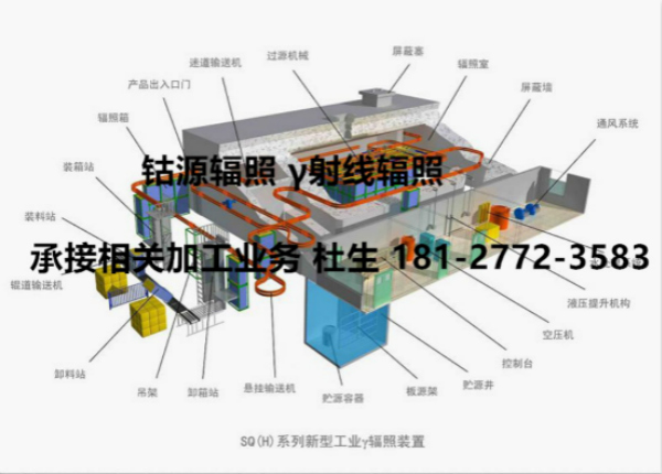 广州市微生物细菌超标问题选辐照消毒加工厂家