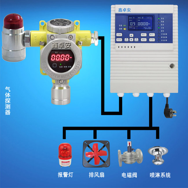 天然气泄漏报警器,管道燃气探测器图片