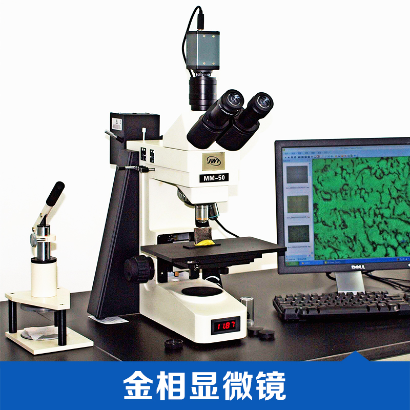 金相显微镜图片