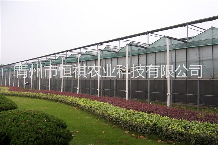 玻璃溫室，智能聯(lián)棟玻璃溫室圖片