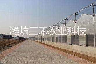 阳光板温室大棚建设图片