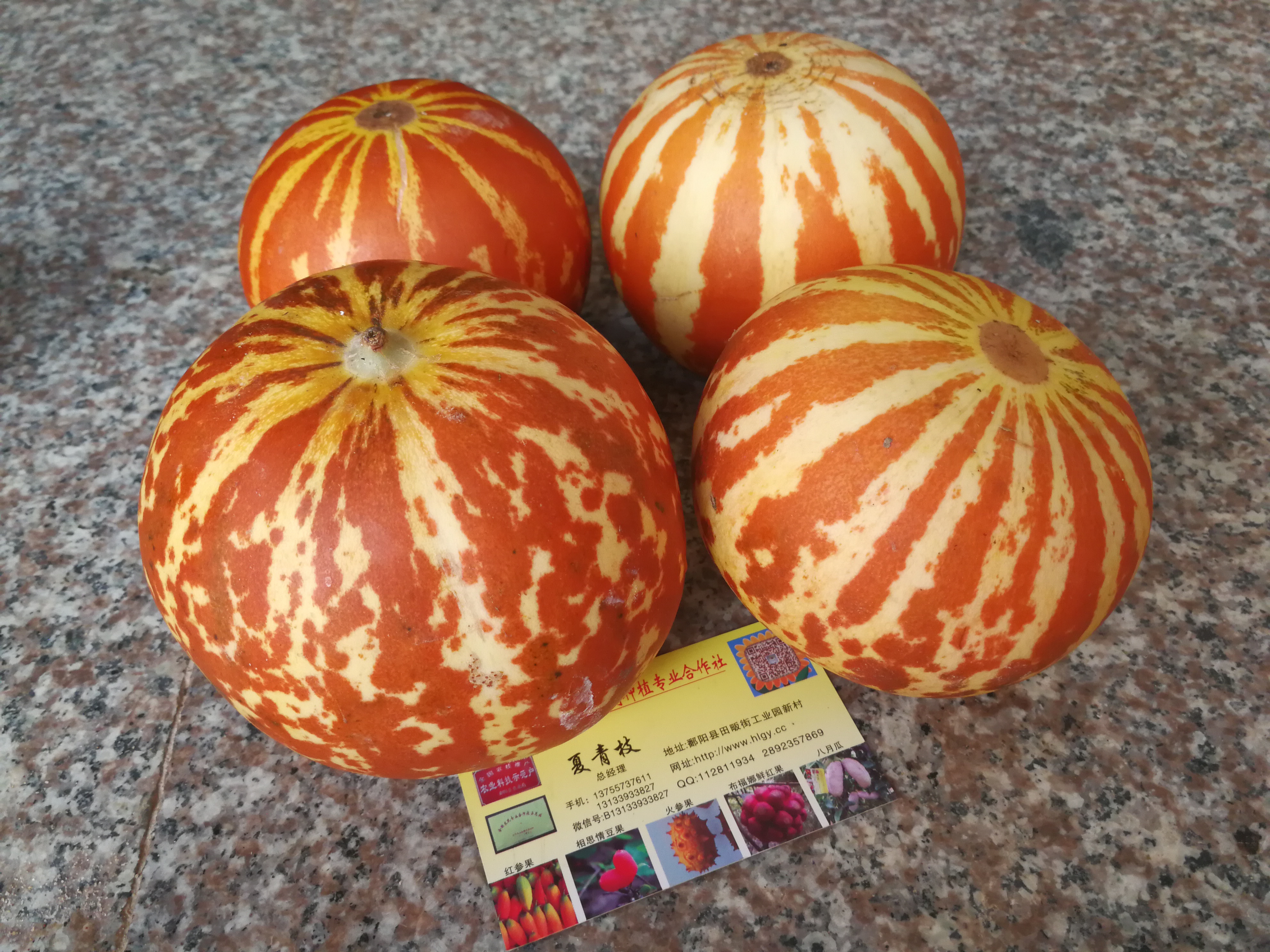 香水瓜 供應(yīng)香水瓜種子 江西香水瓜 香水瓜種子供應(yīng) 香水瓜種子廠家直銷