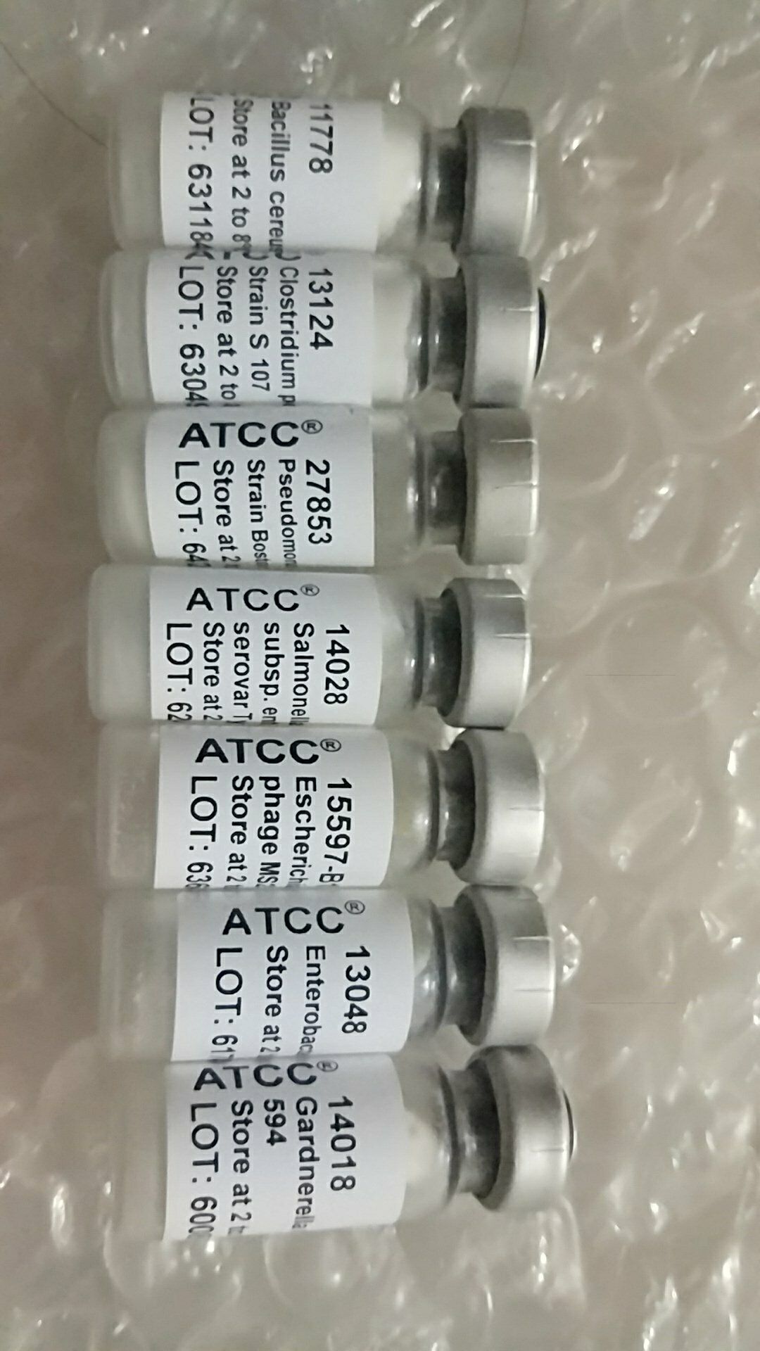 ATCC菌種官網(wǎng)圖片